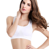 Sweat Absober Sports Bra